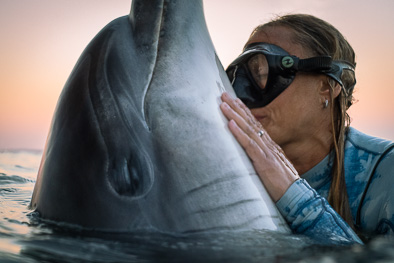 girl human kissing wild dolphin