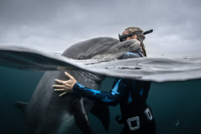 human and dolphin relationship photo